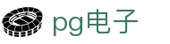 PG电子（CN）官方网 - PG电子游戏在线试玩
